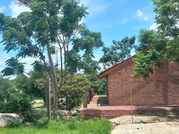 Shop & Retail Property