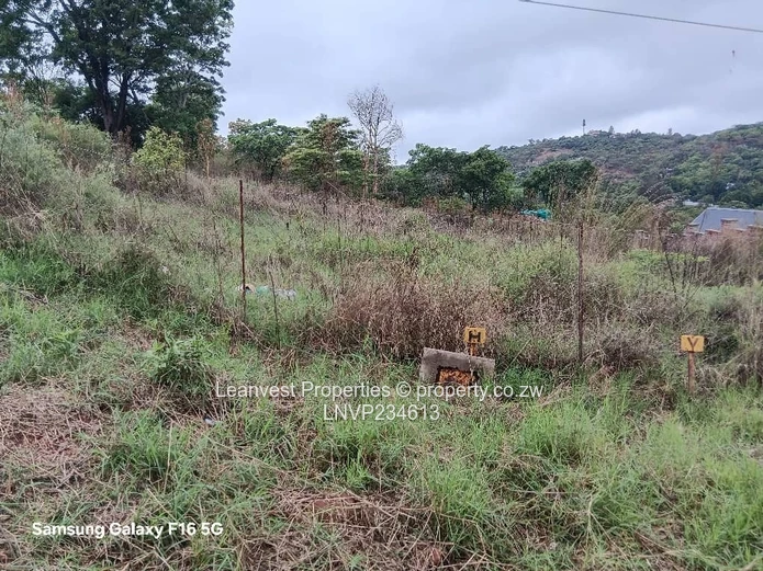 Stand For Sale In Borrowdale Helensvale 