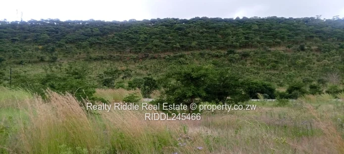 1.3ha Norton Hillside , Accessible
