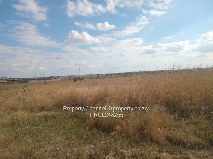 5,000 sqm Level Plot in 8km west of Gweru CBD — Open Grass, Adjacent Walled Property