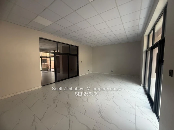 Compact Specialist & Diagnostic Suite (31 sqm)