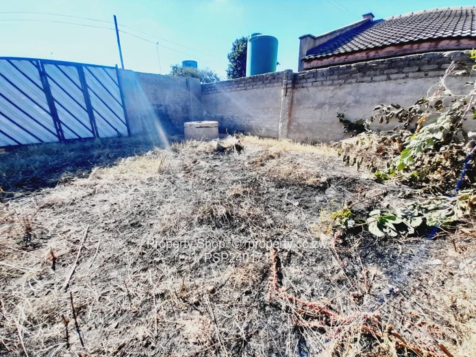 Damofall Phase 1 Stand for Sale