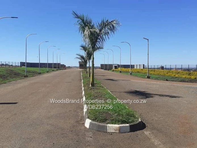 Nyeredzi Park