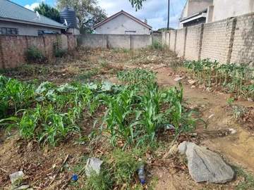 Stands & Residential Land