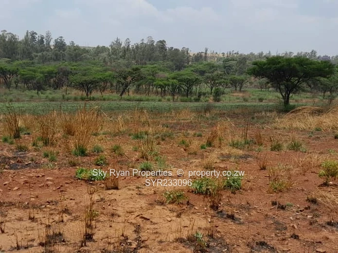 Arcturus Plot For Sale