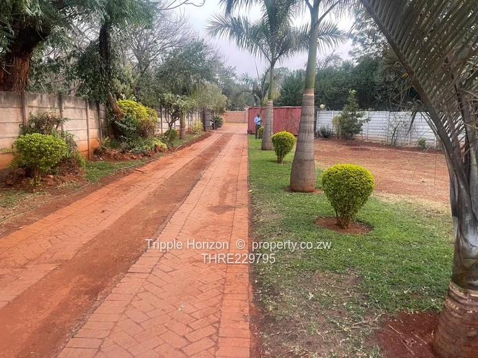 Borrowdale Near Samy Levy Village