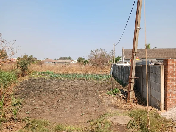 Stands & Residential Land
