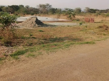 Stands & Residential Land