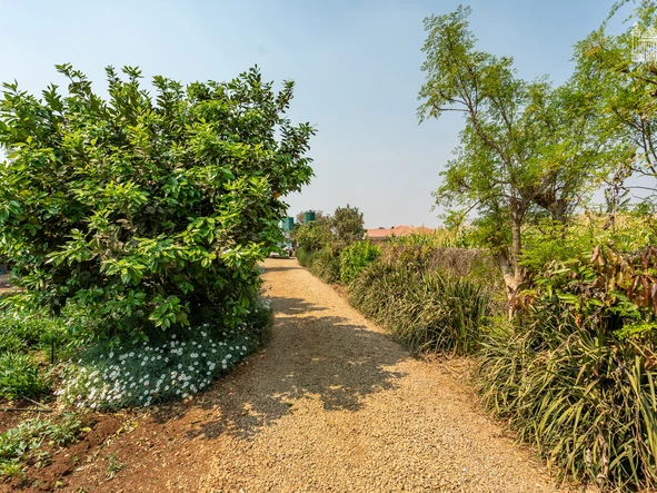 Farm & Agricultural Land