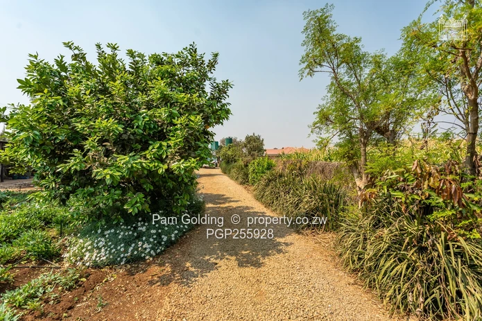 1.25HA Agricultural Plot Along Bulawayo Rd