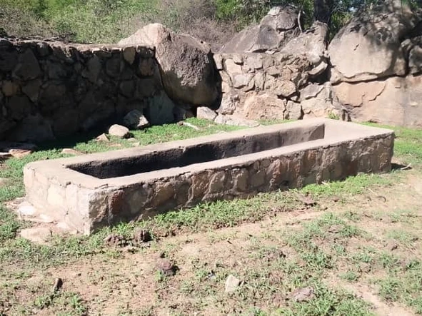 Farm & Agricultural Land