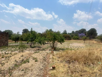Farm & Agricultural Land