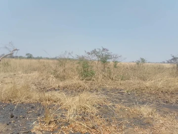 Farm & Agricultural Land