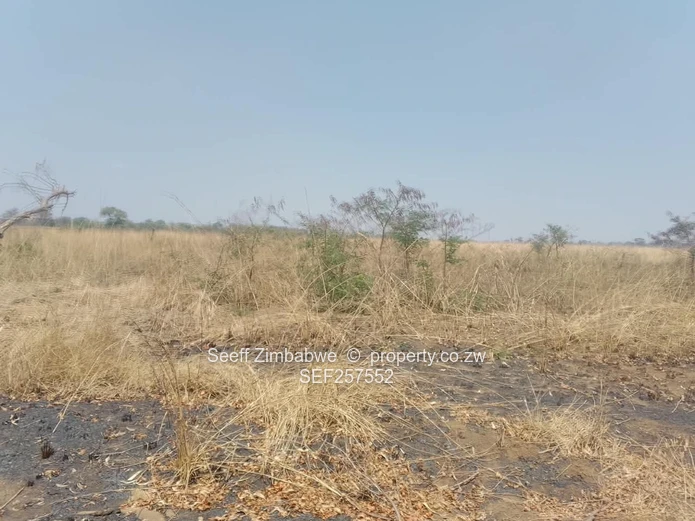 109,174ha Whitecliff Farm — Subdivision Potential 