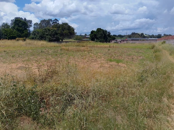 Stands & Residential Land