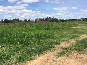 Commercial & Industrial Land