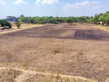 Farm & Agricultural Land