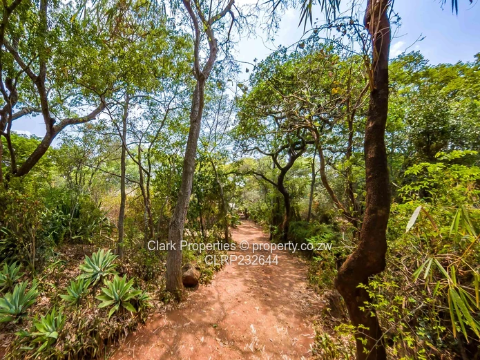 Prime 1 Acre Panhandle Stand in a Beautiful Setting! (Sole Mandate)