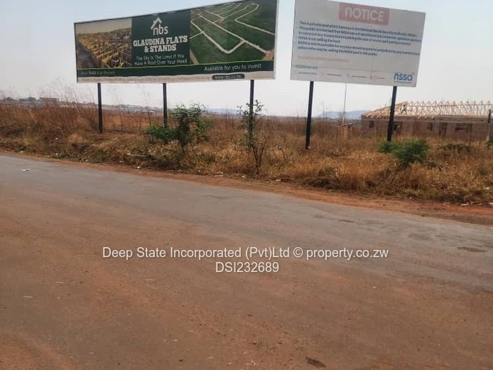 Glaudina stand for sale. 