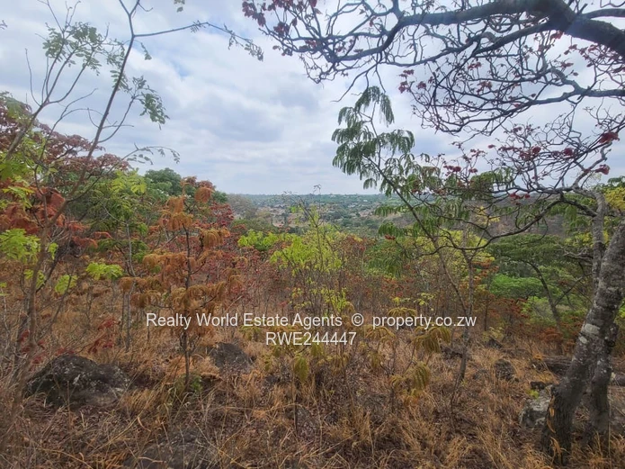 Land for Sale – Glenlorne, Harare (Sole Mandate)