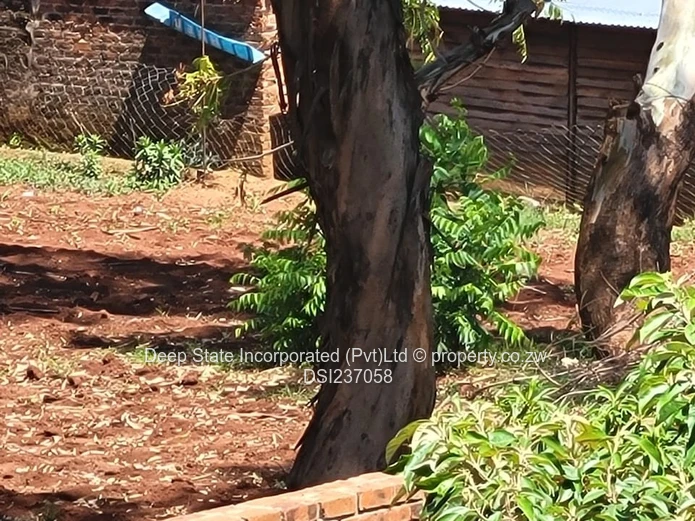 Chishawasha (Gletwin) stand for sale