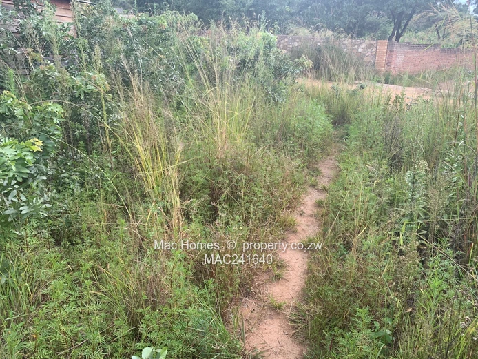 Crowhill In-Fill Stand for Sale (Sole Mandate)