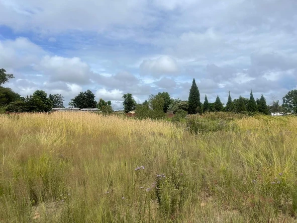 Stands & Residential Land