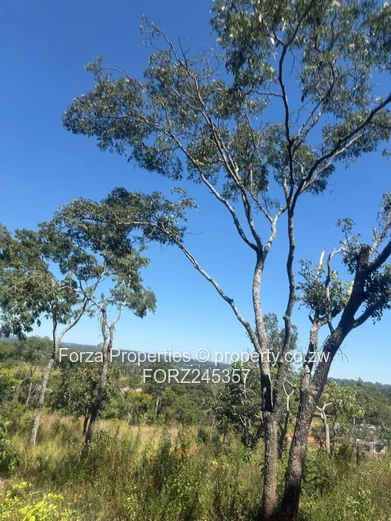 41 Hectares of Prime Land in Borrowdale Brooke Area with Endless Development Potential