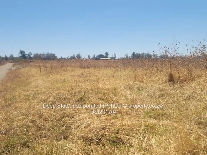Nyeredzi stand for sale 