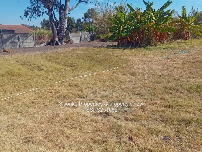 1000m² residential stand in Hatfield 