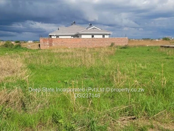 Westgate shine plus stand for sales