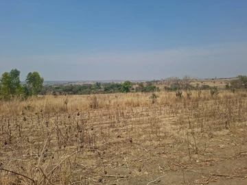 Farm & Agricultural Land