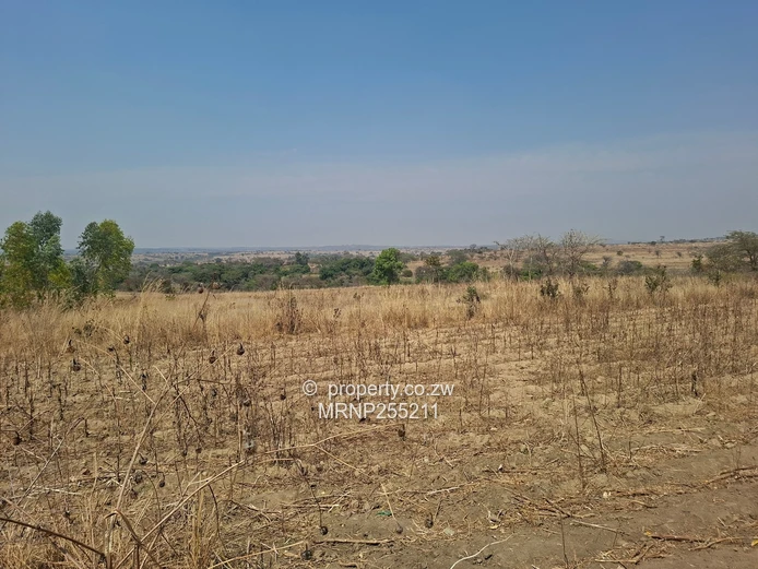 Headlands Plot for sale  (Sole Mandate)