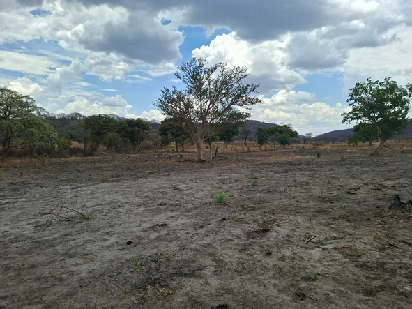 Farm & Agricultural Land