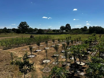 Stands & Residential Land
