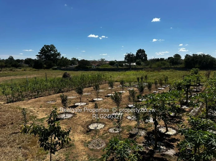 Sunninghill Stand (1 Acer) (Sole Mandate)
