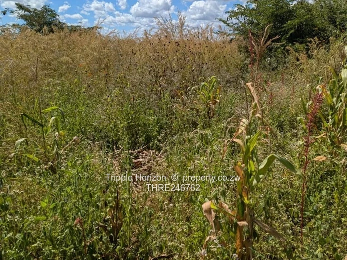 Industrial land for sale in chinhoyi along chengutu route 