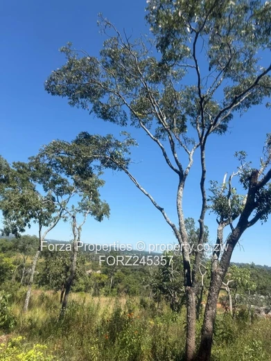 41 Hectares of Prime Land in Borrowdale Brooke Area with Endless Development Potential