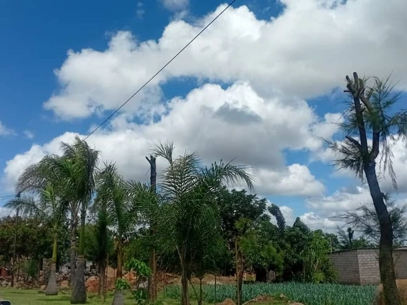 3 Bedroom Garden Flat