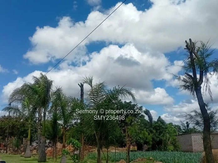 Garden Flat for rent