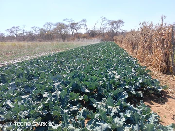 Farm & Agricultural Land