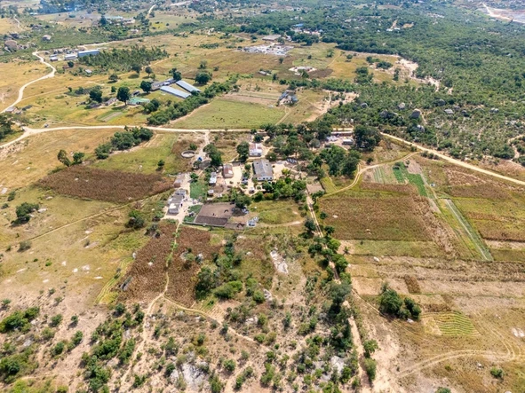 Farm & Agricultural Land