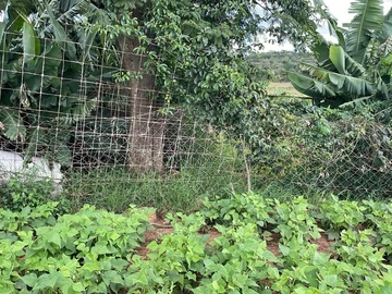 Farm & Agricultural Land