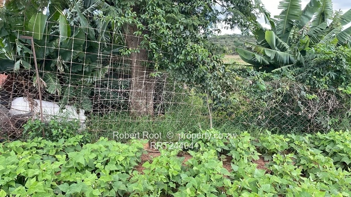 Agriculture land in Glen Forest