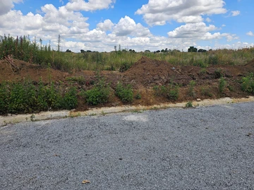 Stands & Residential Land