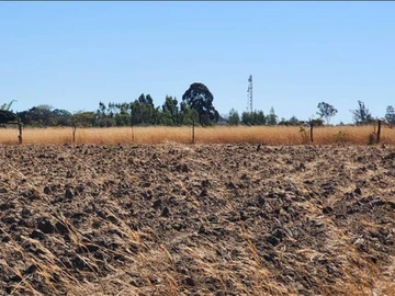 Farm & Agricultural Land