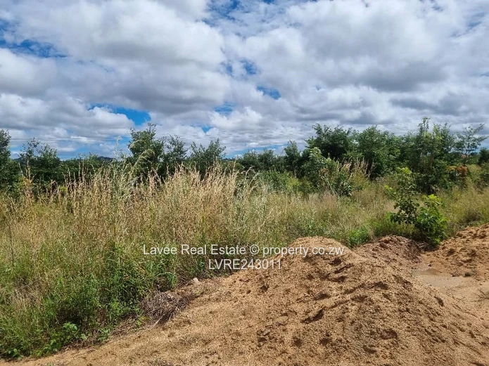 Rusape Undeveloped Lodge Site — 5,034 m² Green Plot (Sole Mandate)