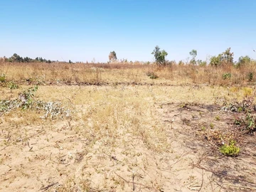 Commercial & Industrial Land