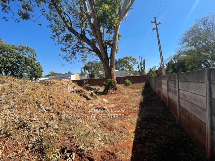 Vacant 8019m² Vainona Stand — Subdividable & Serviced