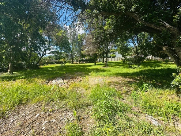 Stands & Residential Land